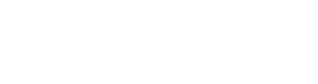 WebgeniusBD